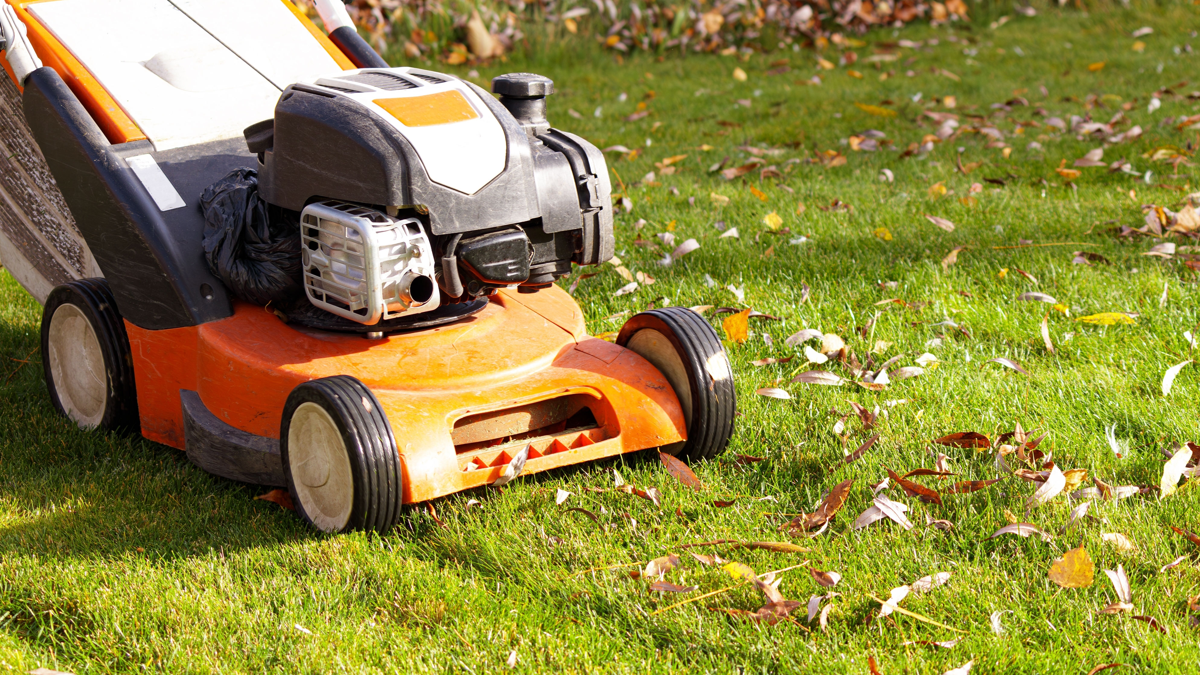 לכסח את הדשא