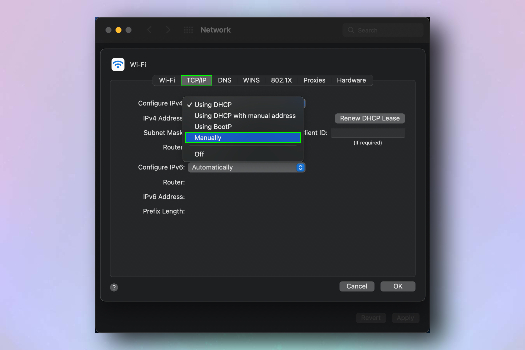 צילום מסך המדגים כיצד לשנות כתובת IP ב-Mac