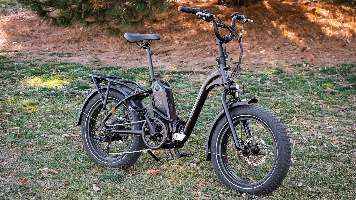 Radpower RadExpand 5 at park