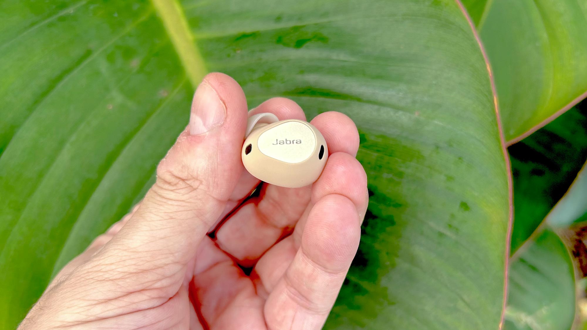 Jabra Elite 10 מציג ניצן בודד בין קצות האצבעות על רקע צמחייה טרופית