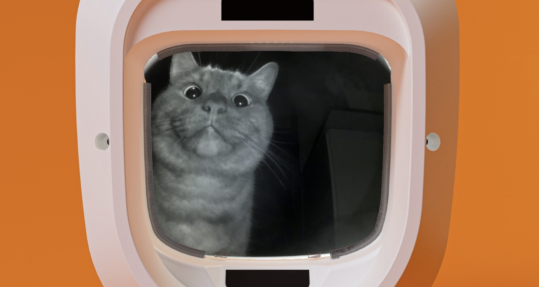 דש חתול פלאפי