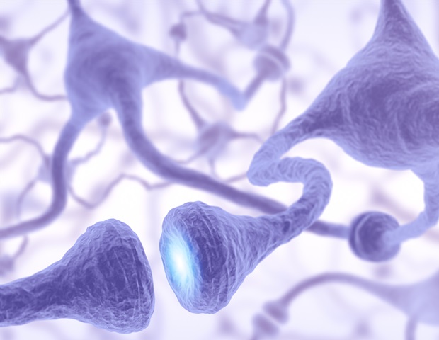 גדילים קצרים של RNA רעילים תורמים למוות של תאי מוח ולנזק ל-DNA באלצהיימר