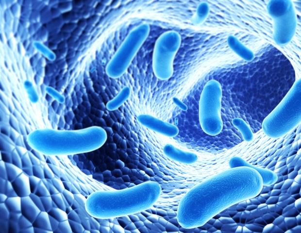 המחקר מספק תובנות חשובות לגבי הדינמיקה האבולוציונית של וירוס הפטיטיס E