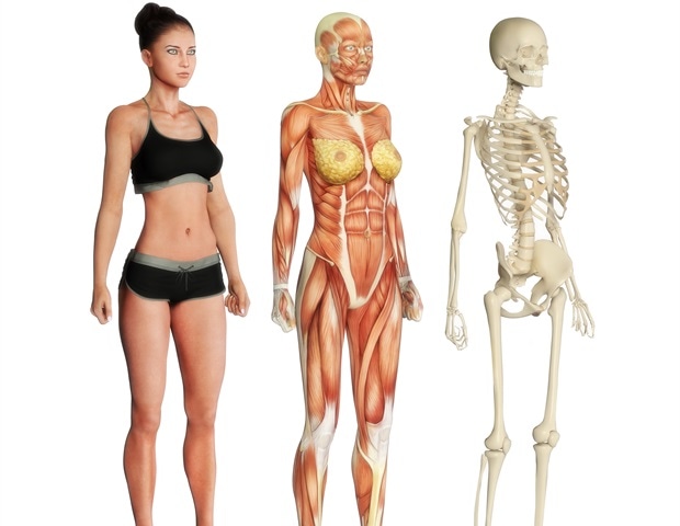 הערכה בלתי משוחדת של vamorolone לטיפול בניוון שרירים דושן