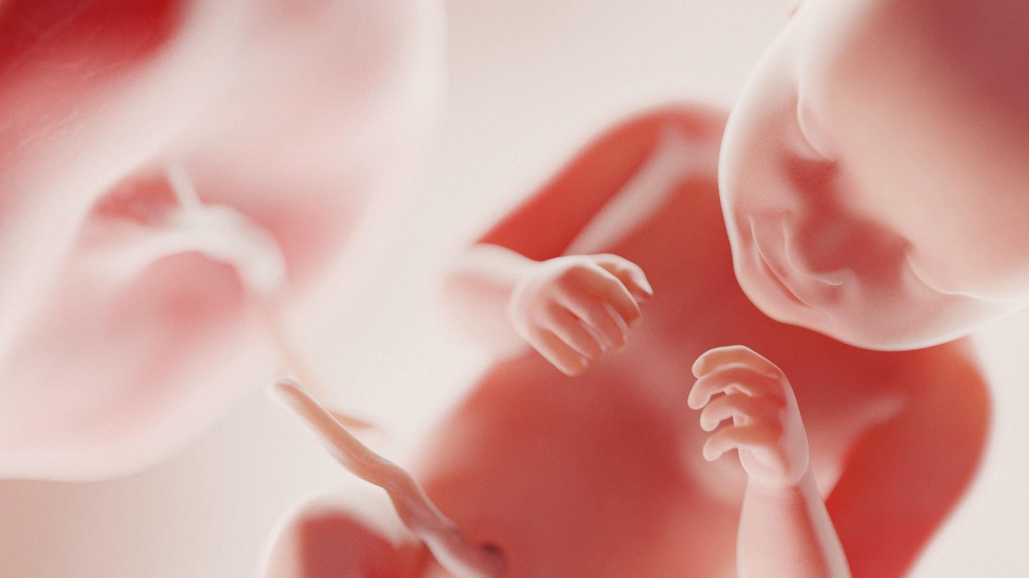 חיסון אימהי נגד COVID-19 מועיל באותה מידה עם פגים ותינוקות מלאים