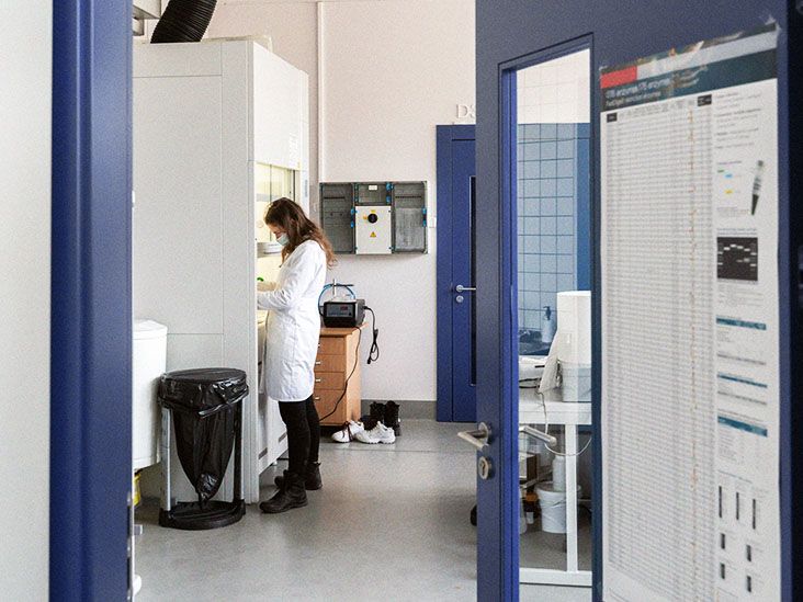 טיפולים באלצהיימר: הסיכונים של נוגדנים חד שבטיים עשויים לעלות על היתרונות