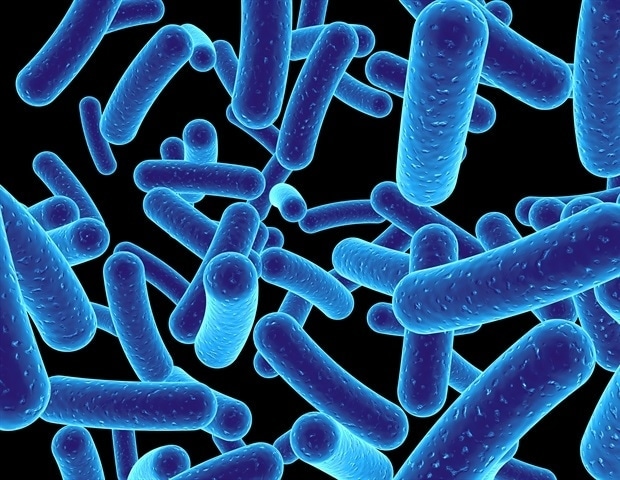 ניתוח גנומי של חיידקים לא מתורבתים ממטופלים מזהה יותר משלושים מינים חדשים