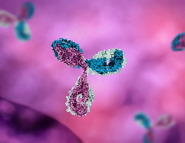ננו-גופי אנטי-CTLA-4 מציעים אסטרטגיה מבטיחה למניעת קוליטיס באימונותרפיה של סרטן
