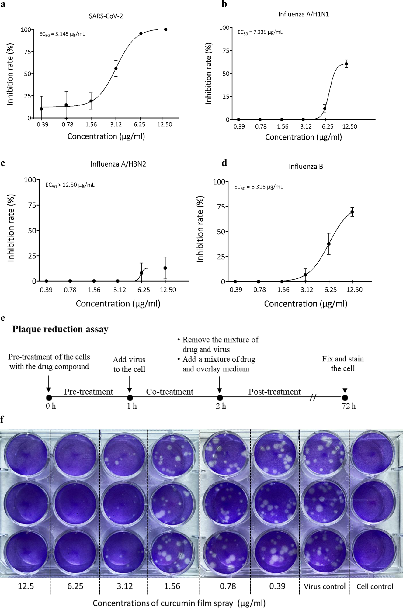 אפקט אנטי ויראלי של תרסיס סרט כורכומין נגד SARS-CoV-2 נבדק על ידי מבחן הפחתת פלאק.  עקומת מינון-תגובה של פעילות אנטי-ויראלית של תרסיס סרט כורכומין נגד;  (א) SARS-CoV-2, (ב) שפעת A/H1N1, (ג) שפעת A/H3N2, ו-(ד) נגיפי שפעת B, (ה) תרשים לבדיקת פעילות אנטי-ויראלית על ידי מבחן הפחתת פלאק, (ו) תמונה של ניסוי מבחן הפחתת פלאק.  כל ריכוז של תרסיס הסרט בוצע בבארות משולשת