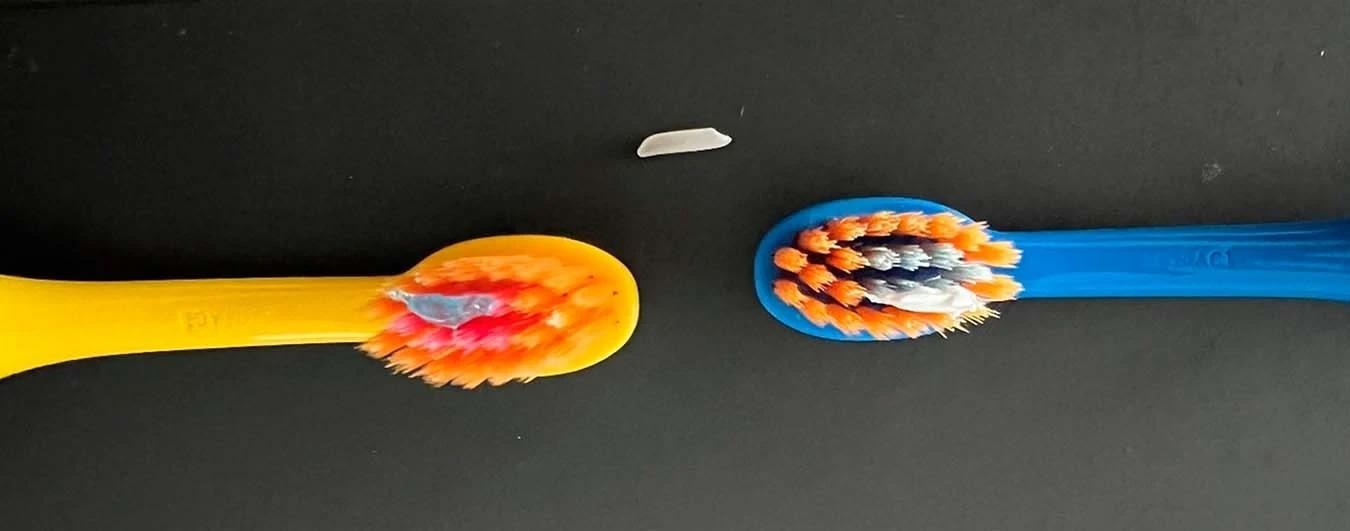 צילום מינוני הייחוס (כלומר, כמות של משחת שיניים בגודל גרגר אורז כמומלץ למשחות שיניים לילדים עד 24 חודשים עם 1000 ppm פלואוריד) של משחת שיניים A (משמאל) ומשחת שיניים B (ימין) על מברשות שיניים לילדים.  גרגר אורז טבעי שימש כמודל.  שתי הכמויות ניתנו על ידי רופא שיניים מנוסה.