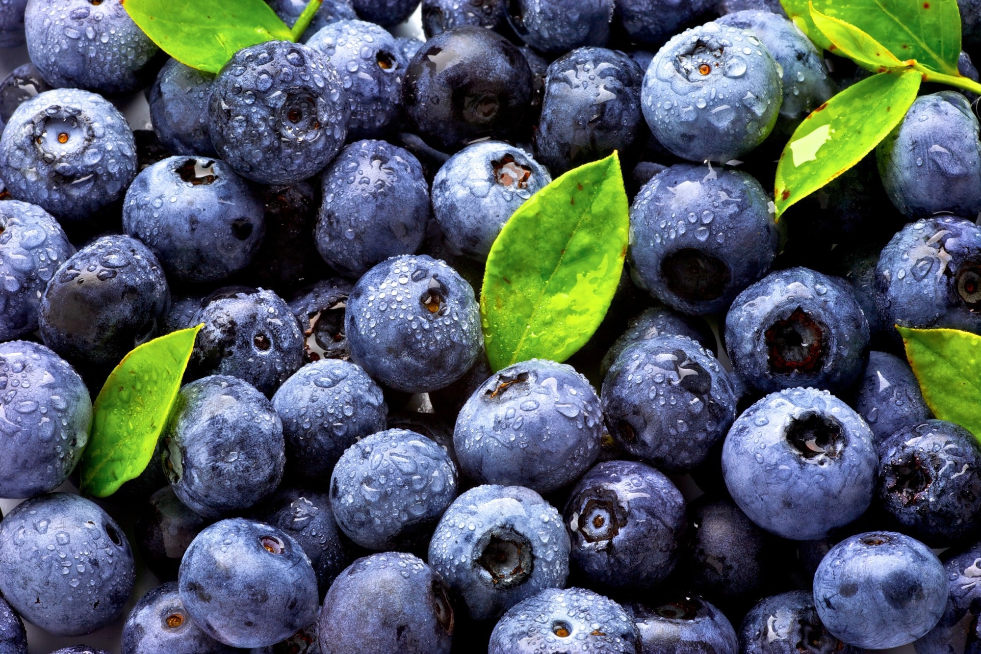 Study: Chronic and postprandial effect of blueberries on cognitive function, alertness, and mood in participants with metabolic syndrome – results from a six-month, double-blind, randomized controlled trial. Image Credit: matin / Shutterstock