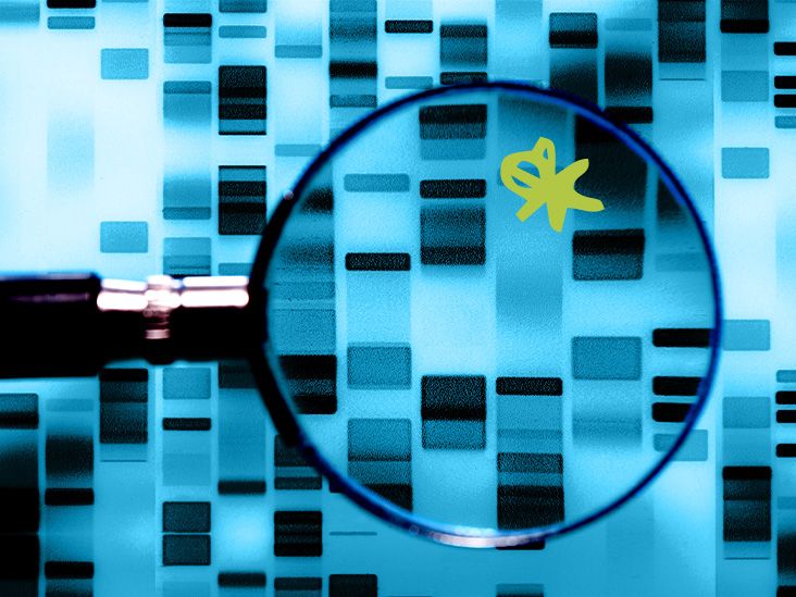 האם טיפול למי שנמצא בסיכון גנטי לאלצהיימר נמצא באופק?