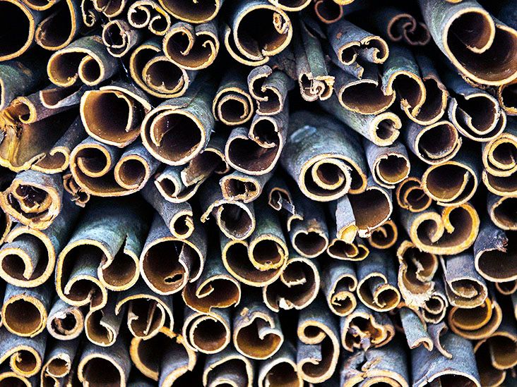 האם מנה יומית של קינמון יכולה לעזור בהורדת רמת הסוכר בדם?