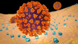 Study: Human transferrin receptor can mediate SARS-CoV-2 infection. Image Credit: Kateryna Kon / Shutterstock