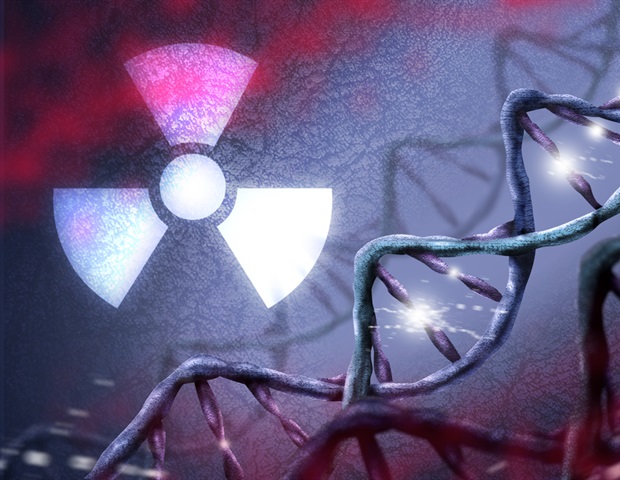 מודל מחשב חדשני של הריאה מאפשר הדמיה מפורטת של השפעות קרינה