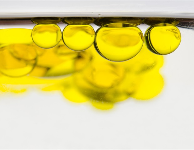 מחקר מגלה תפקיד מכריע של חומצות שומן רוויות בתהליך יצירת הזיכרון