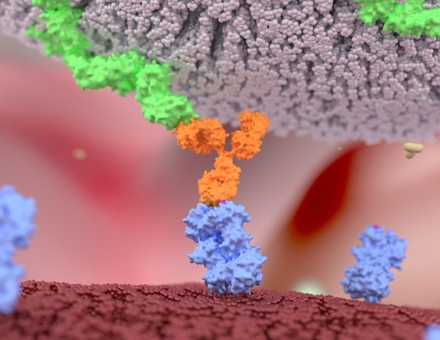 מחקר מגלה "תרדמה" של תאים הורגים טבעיים בגידולים