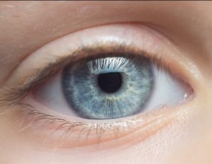 פרויקט OCT פורץ דרך בסך 20 מיליון דולר נועד לחולל מהפכה בבדיקת בריאות העיניים