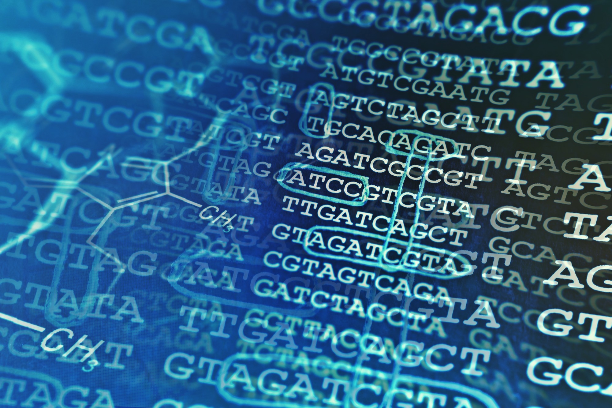 קרדיט תמונה: isak55/Shutterstock.com