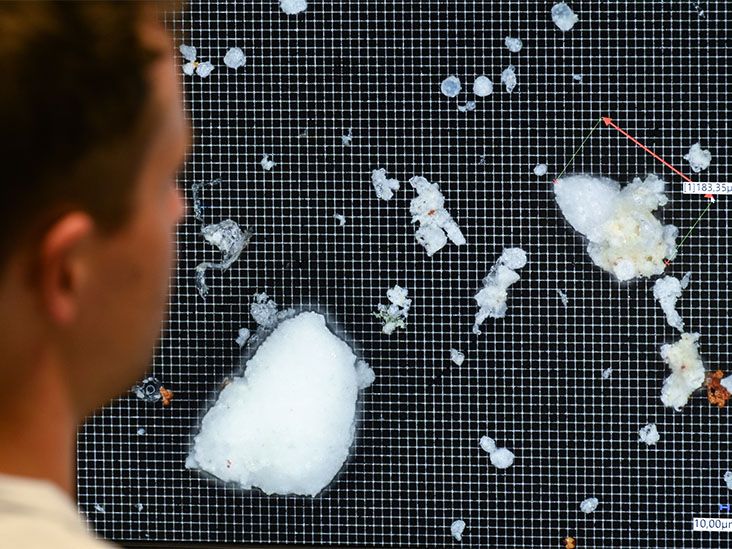 profile of researcher looking at a picture of a 3D microscope with plastic particles