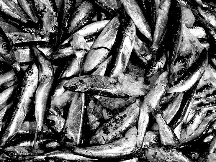 איזה סוג של דיאטת קטו עשויה להגביר את מניעת סרטן הריאות?