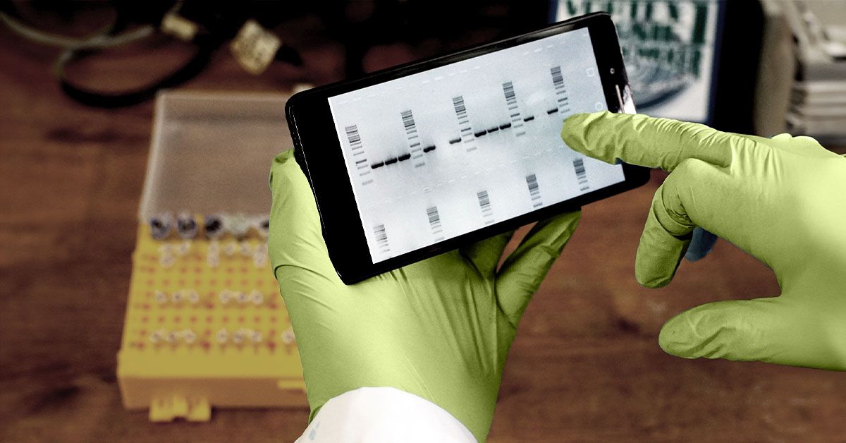 גנים ארוכים יותר קשורים להזדקנות: מה זה אומר