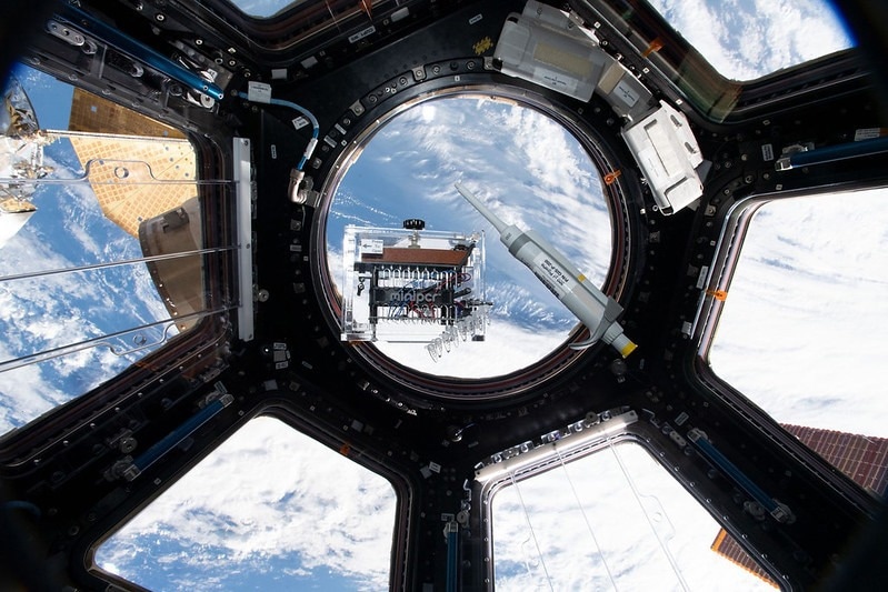 New ISS investigation expands genes in space toolkit for student spaceflight experiments