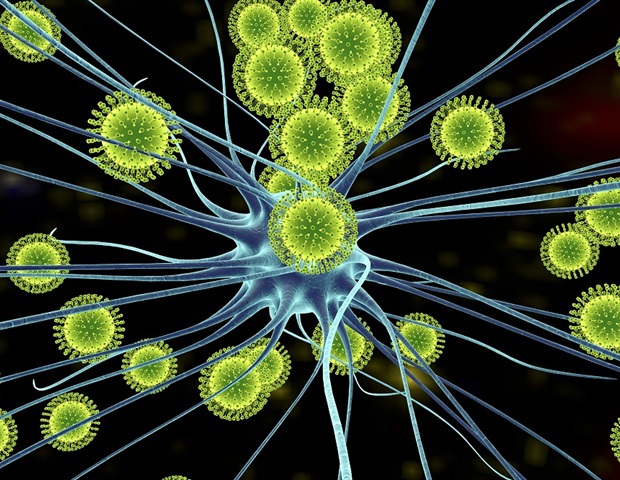 מחקר חושף תובנות מכריעות לגבי ההשפעות העיניות של זיהום בנגיף זיקה במהלך ההריון