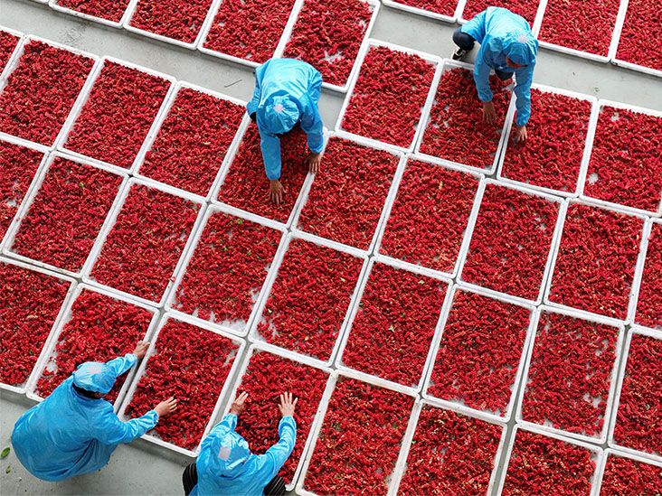 סרטן המעי הגס: פירות המשמשים ברפואה סינית מראה הבטחה כטיפול