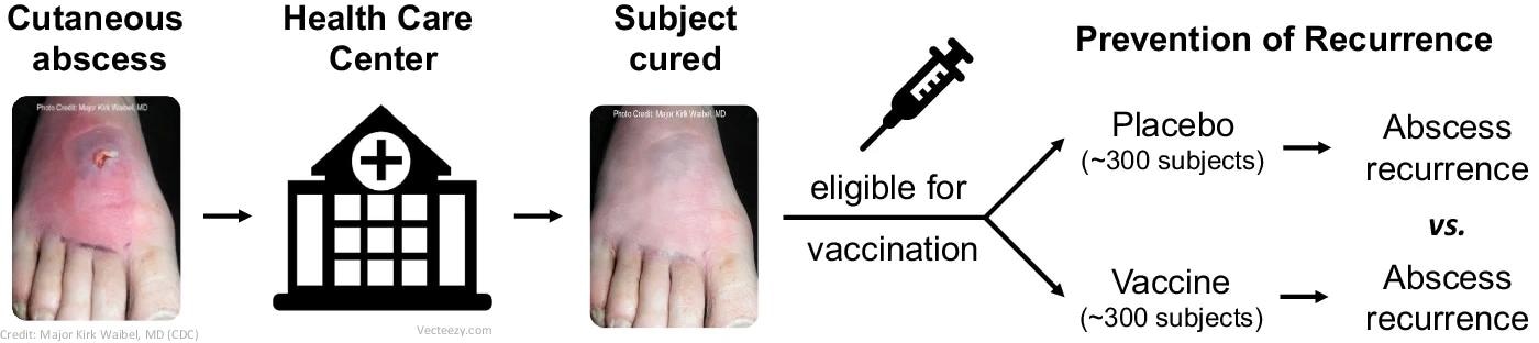 עיצוב ניסוי קליני פרדיגמה (שלב 1/2) בפיתוח חיסון הפוך: חיסון S. aureus בנבדקים בסיכון גבוה ל-SSTI.