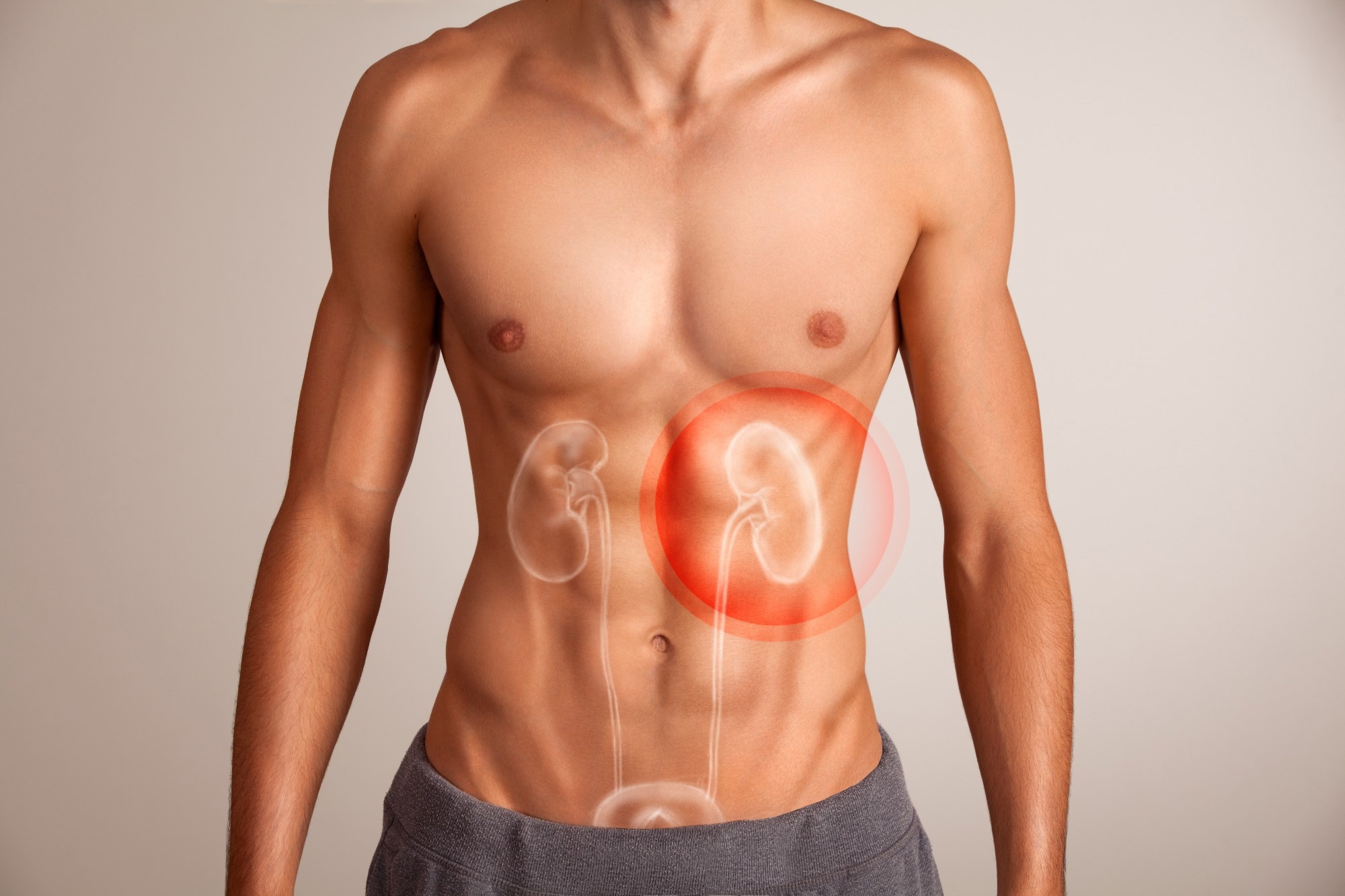 Study: Prevalence of impaired renal function among childless men as compared to fathers: a population-based studyImage Credit: BigBlueStudio / Shutterstock