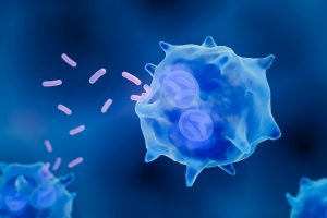 Study: Resident tissue macrophages: Key coordinators of tissue homeostasis beyond immunity. Image Credit: ART-ur/Shutterstock.com