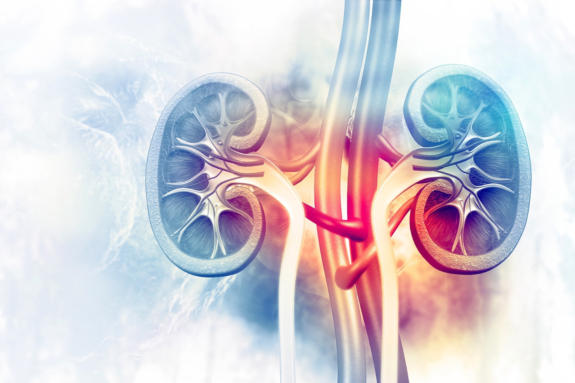 Study: Derivation and external validation of a simple risk score for predicting severe acute kidney injury after intravenous cisplatin: cohort study. Image Credit: crystal light / Shutterstock