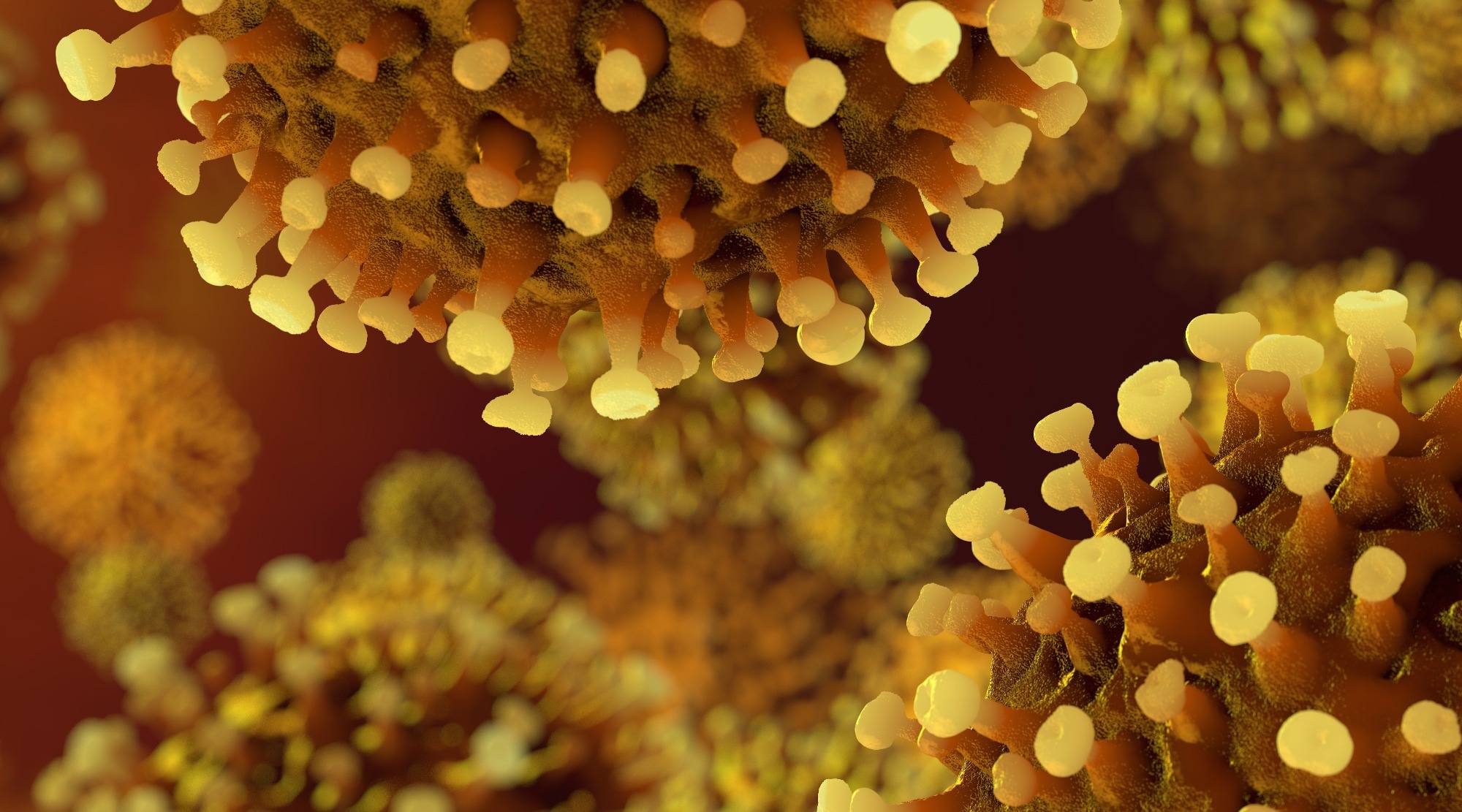 Study: Environmental Surveillance of Flood Control Infrastructure Impacted by Unsheltered Individuals Leads to the Detection of SARS-CoV-2 and Novel Mutations in the Spike Gene. Image Credit: CROCOTHERY / Shutterstock