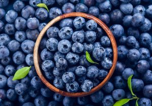 Study: Wild Blueberry Extract Intervention in Healthy Older Adults: A Multi-Study, Randomised, Controlled Investigation of Acute Cognitive and Cardiovascular Effects. Image Credit: Kolpakova Svetlana/Shutterstock.com