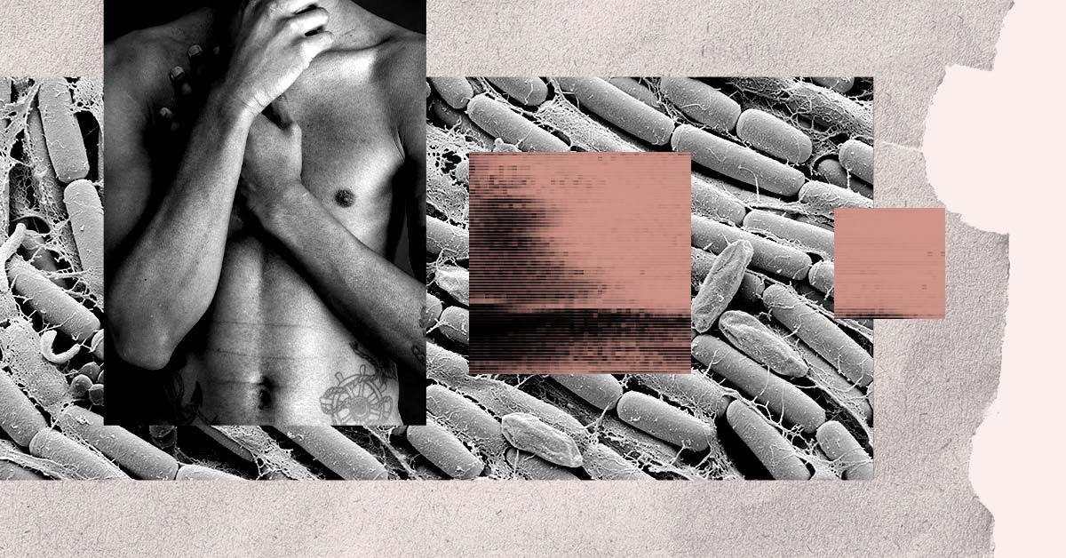 סוג מסוים של חיידקי מעיים עשוי לסייע בהורדת הסיכון למחלות לב