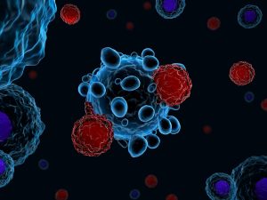 Review: Immune mechanisms in the pathophysiology of hypertension. Image Credit: Meletios Verras / Shutterstock