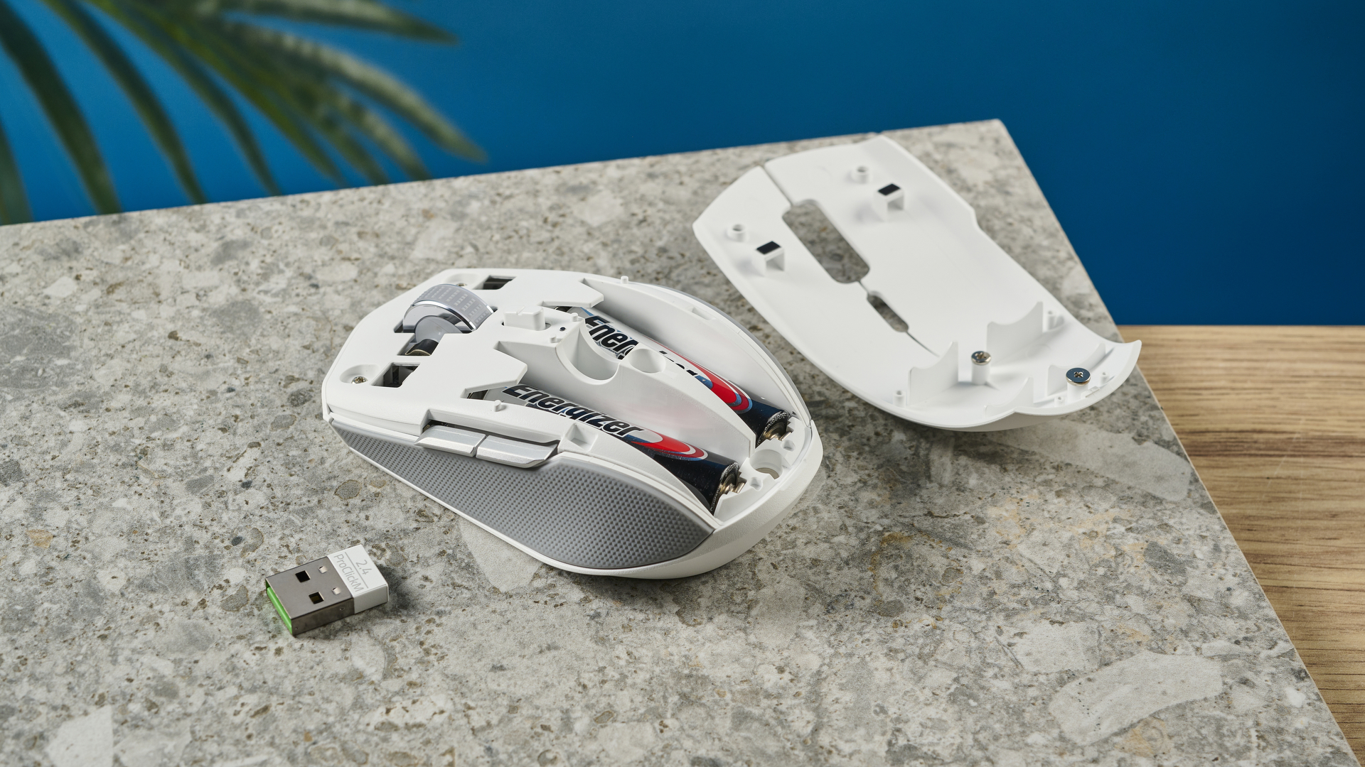 תא הסוללה והדונגל של עכבר אלחוטי Razer Pro Click Mini לבן