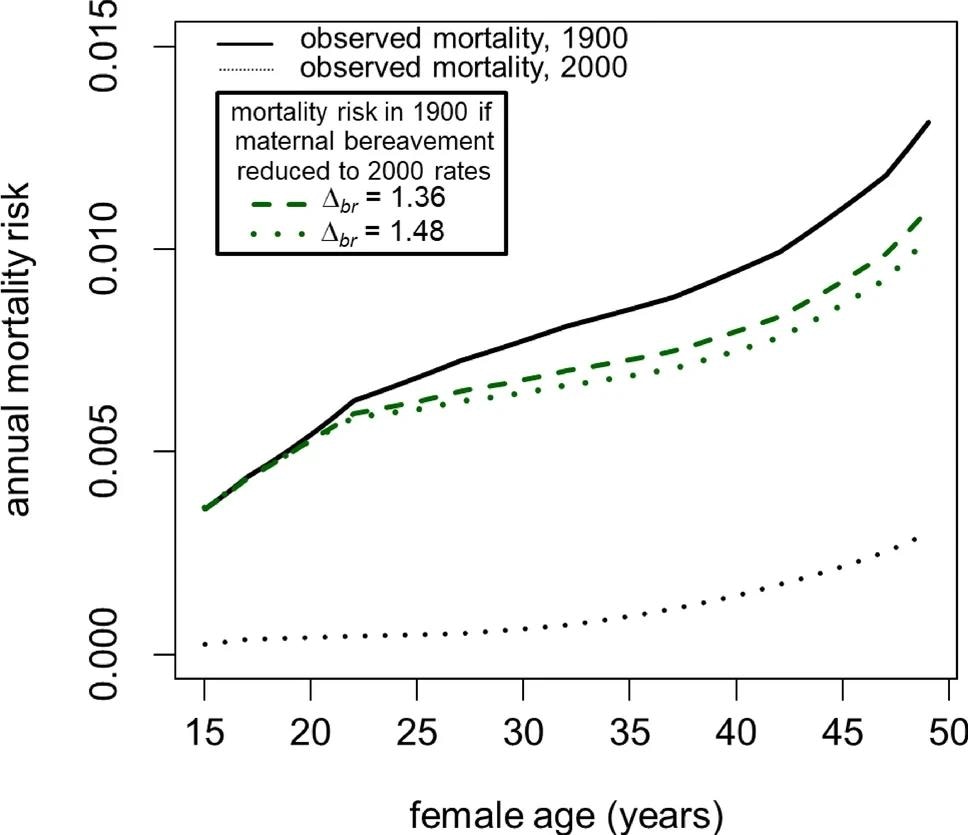 שיעורי התמותה המשוערים של נשים שאינן שכולות בשנת 1900 נמוכים משמעותית משיעורי התמותה שנצפו.  חיסול אובדן ילדים היה מעביר את כל הנקבות לקטגוריית הלא-שכולות, וכתוצאה מכך הפחתה כוללת בתמותת האוכלוסייה.
