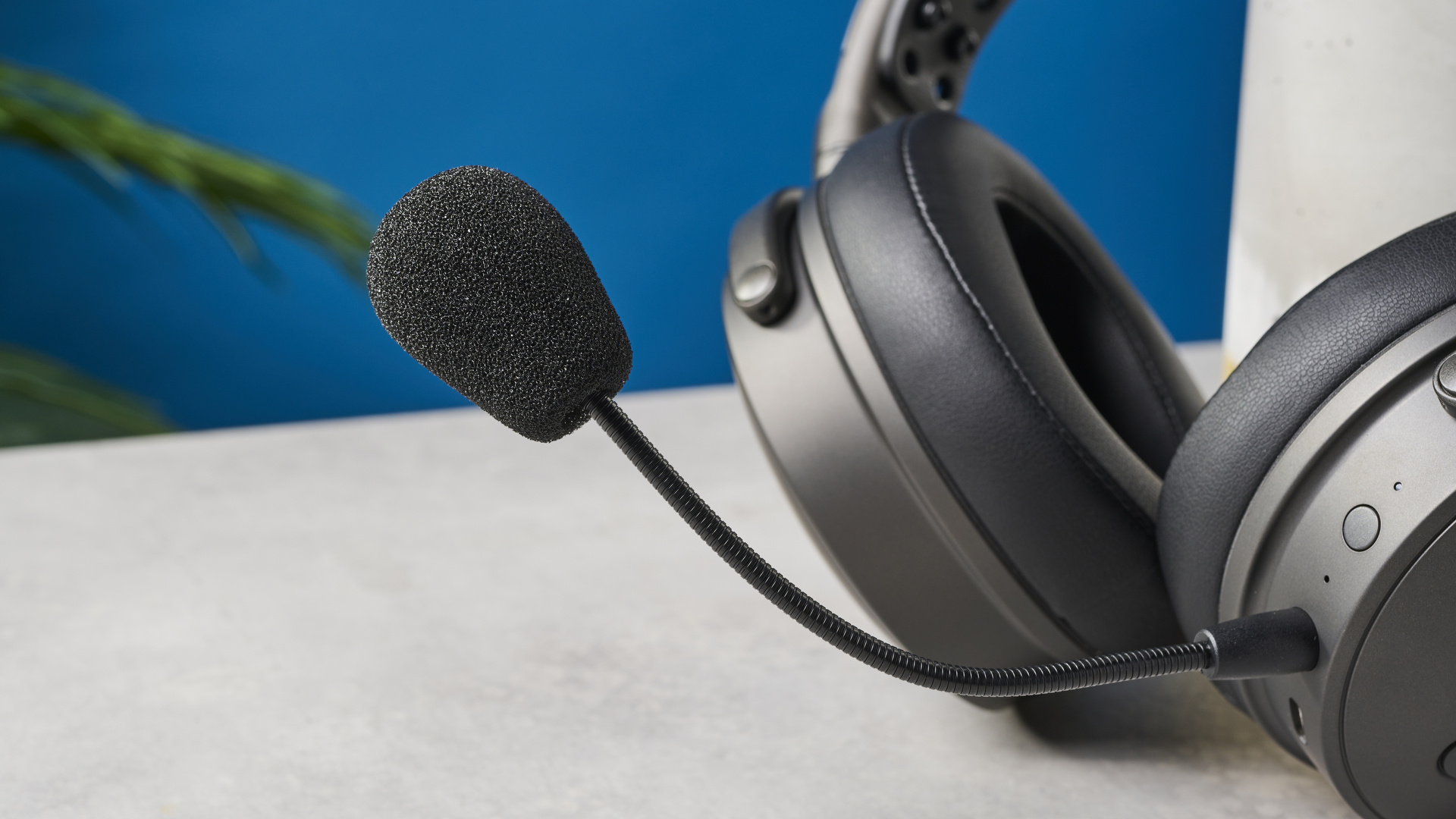 תצלום של מיקרופון Audeze Maxwell