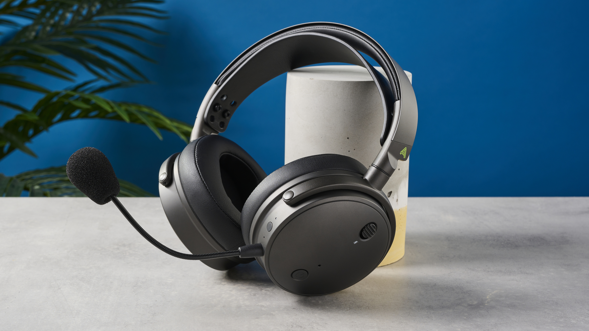 תצלום של האודז מקסוול מונח על בסיס בטון עם קיר כחול ברקע