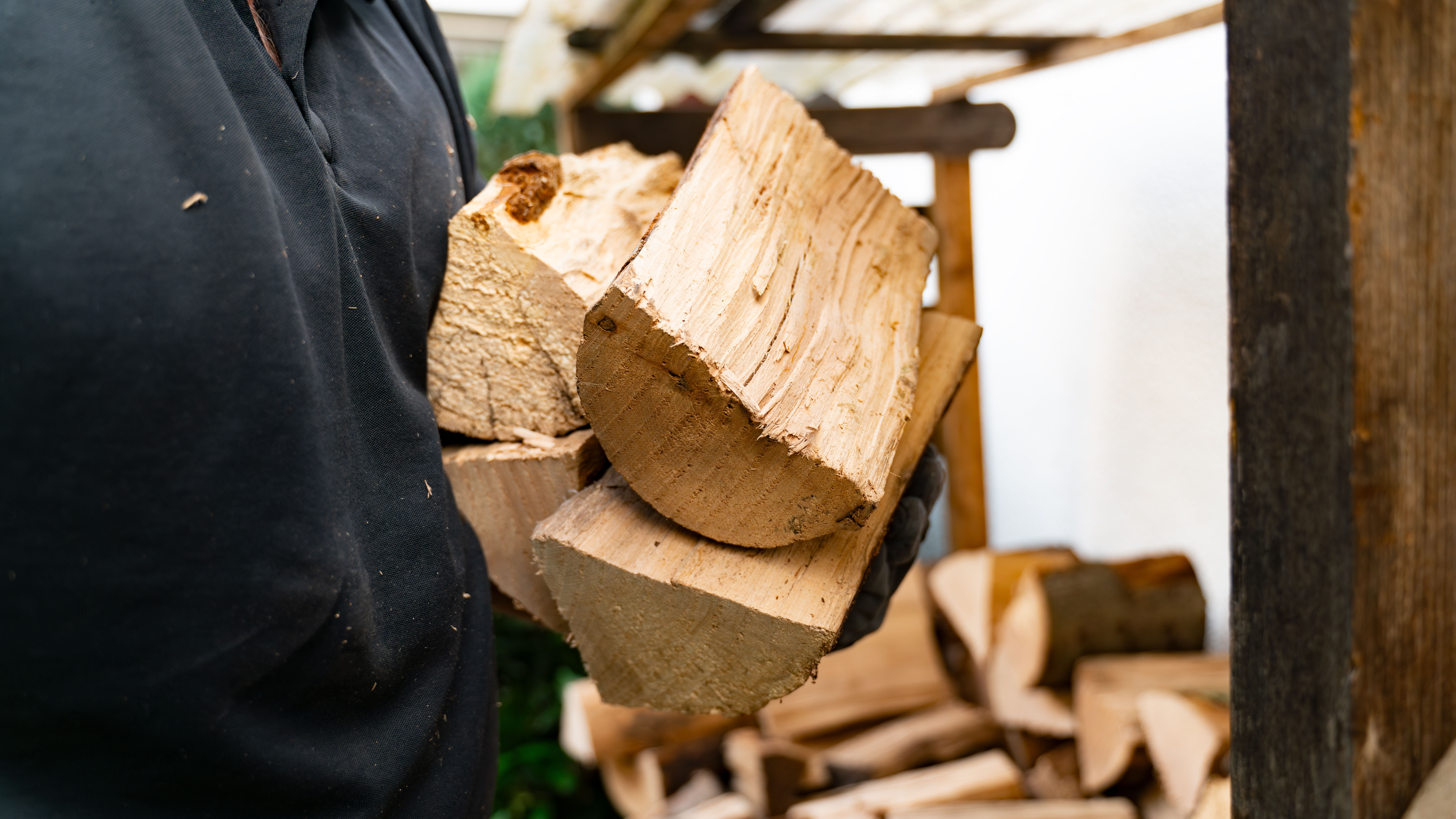 אדם נושא אוסף בולי עץ חתוכים