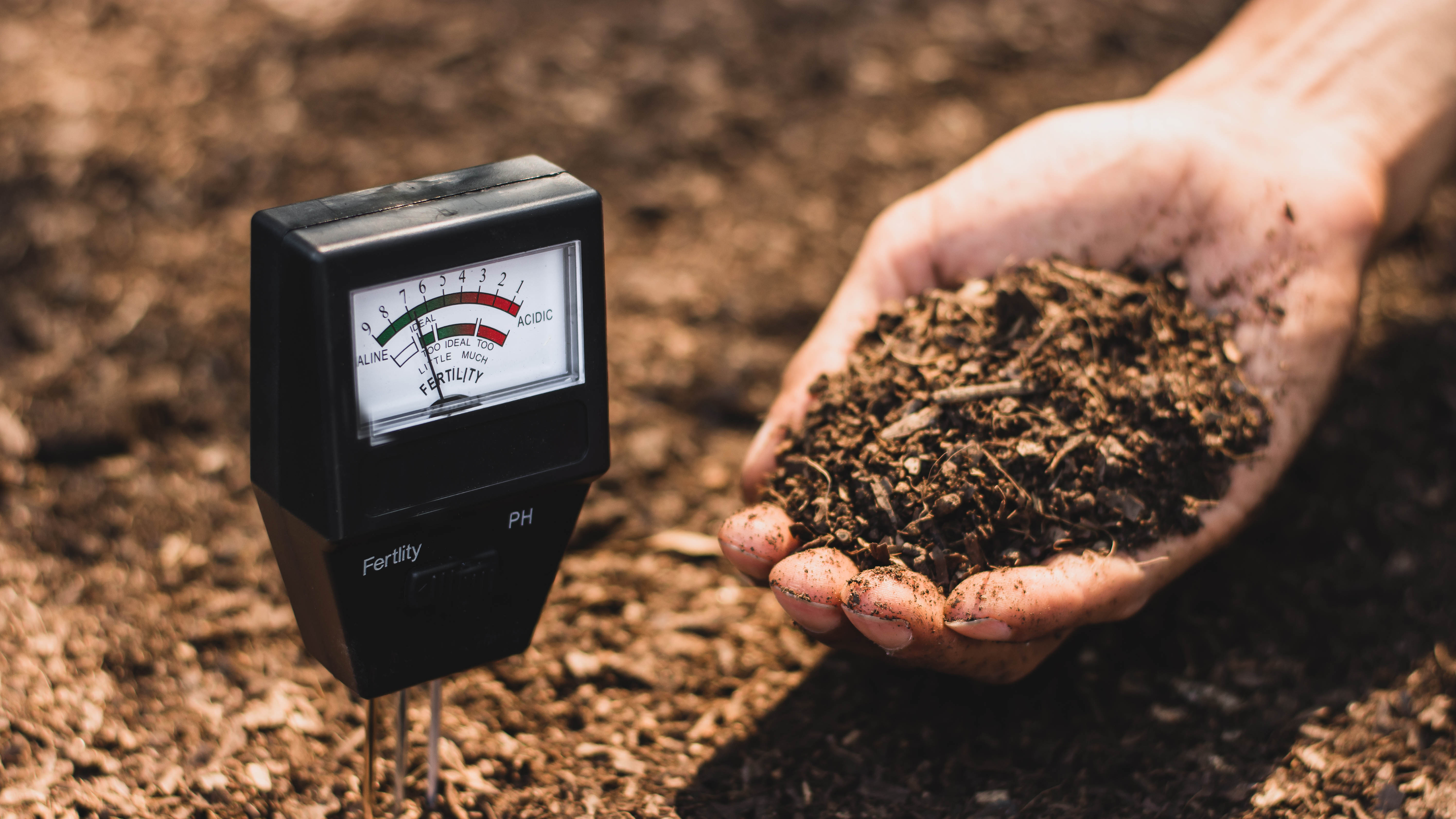 בדיקת PH של אדמה