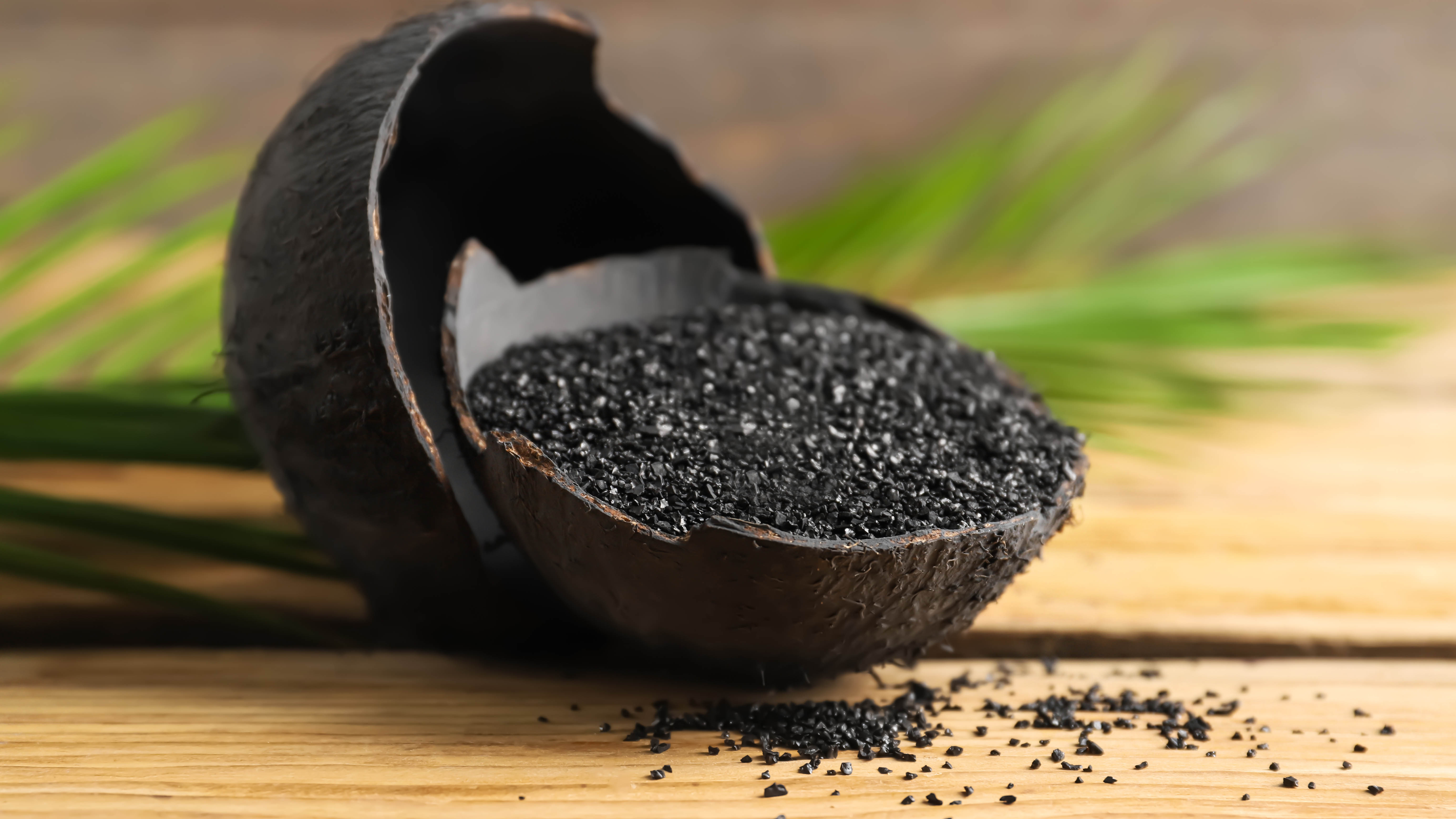 פחם בקליפת קוקוס