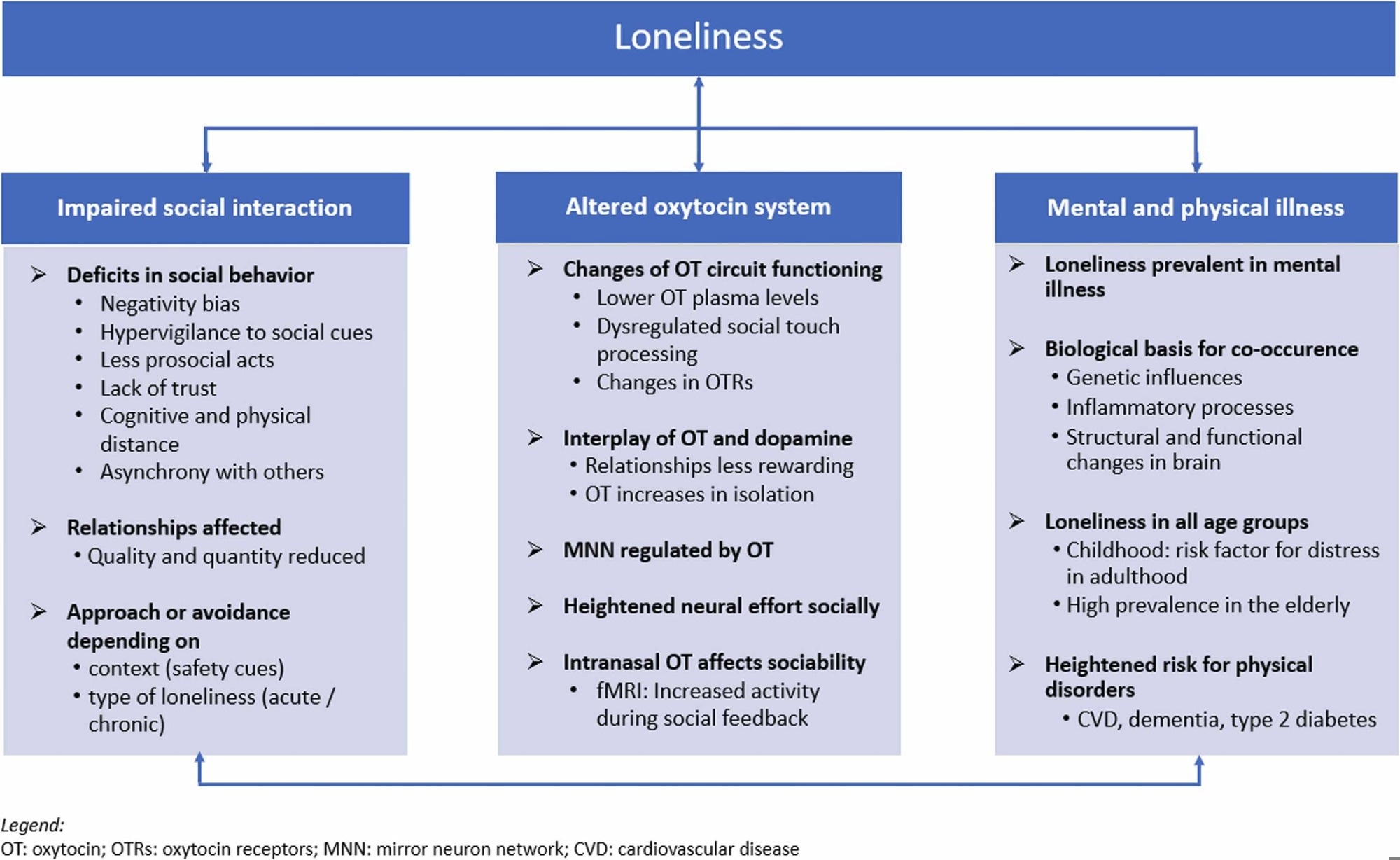 מודל תרגומי לבדידות המסכם ממצאים מרכזיים על אינטראקציה חברתית, OT ומחלות.