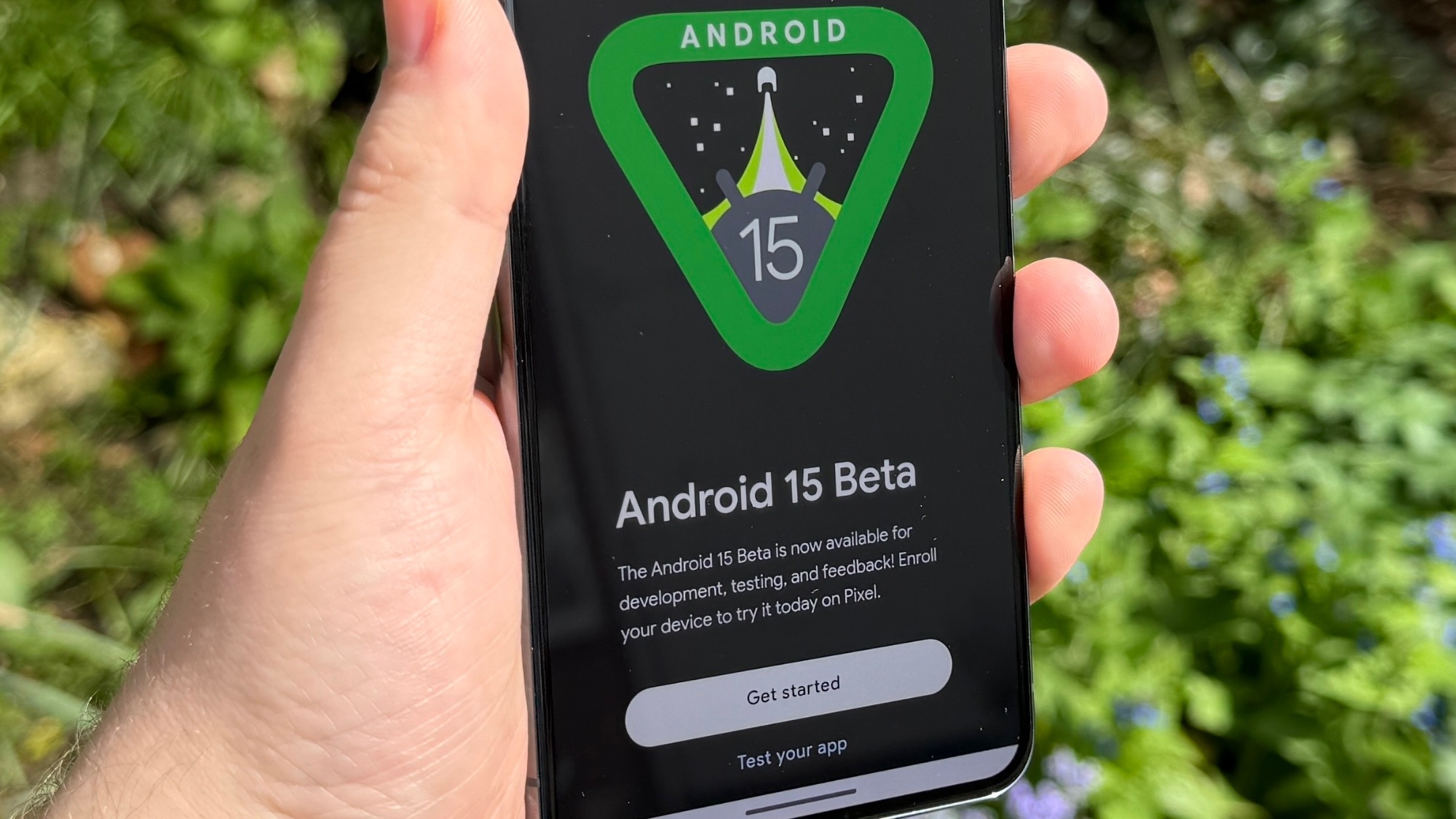 הלוגו של Android 15 מאתר מפתחי אנדרואיד, מוצג ב-Pixel 8 Pro