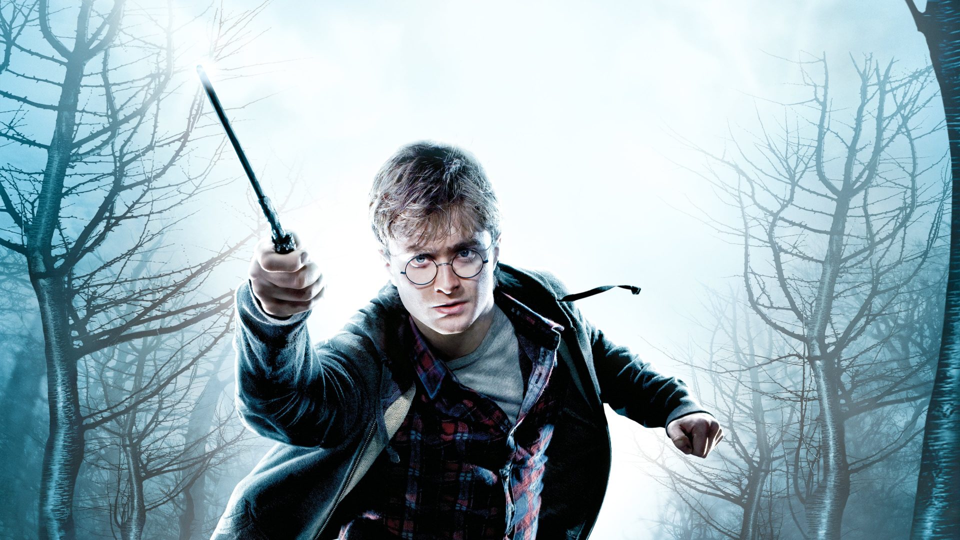 סרטי הארי פוטר לפי הסדר - הארי פוטר ואוצרות המוות