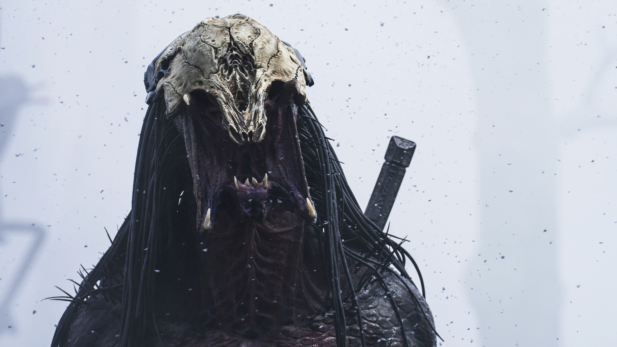 אחד הטורפים בסרט הטרף (2022)