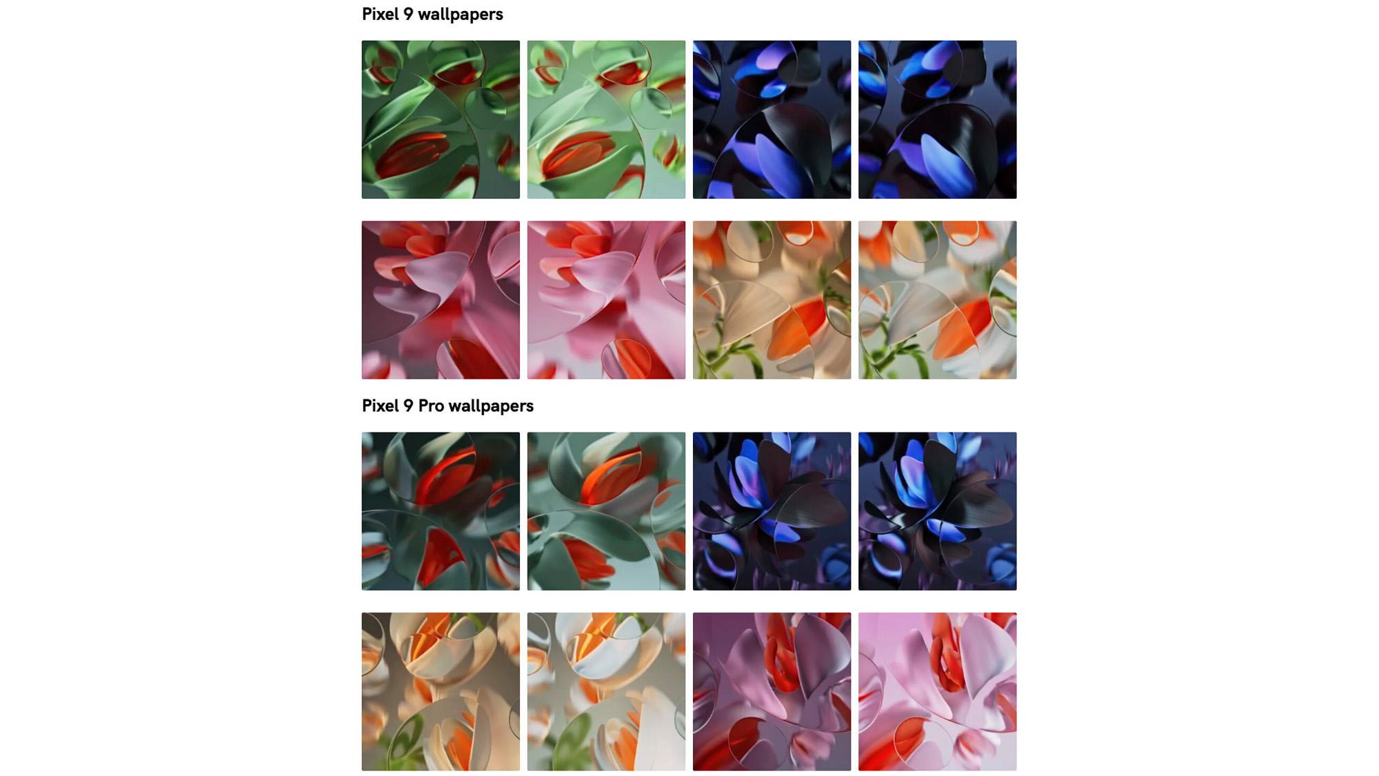צילום מסך של טפטים לפי שמועות של Pixel 9 ו-Pixel 9 Pro