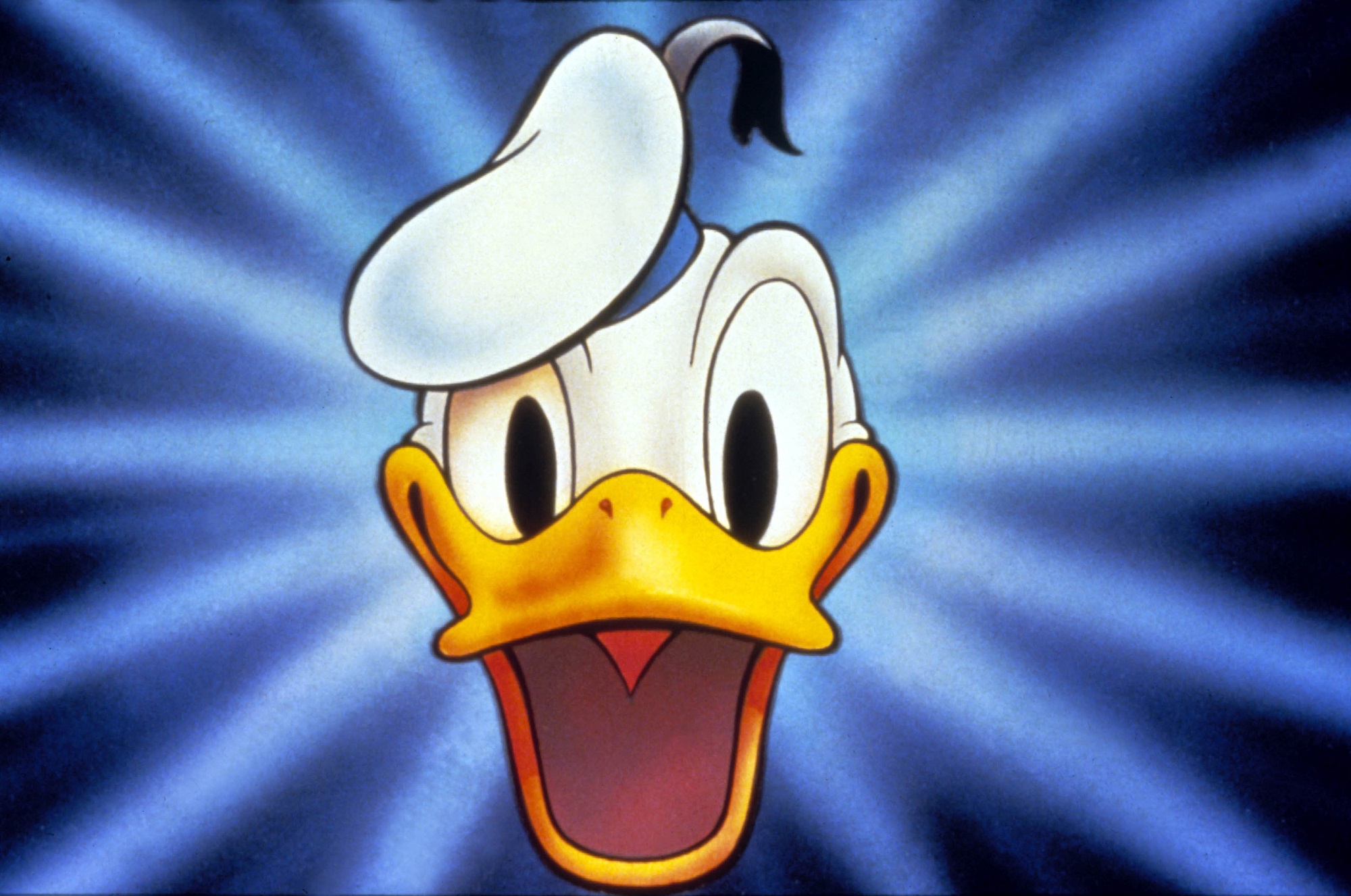 דיוקן דונלד דאק שנראה בתחילת המכנסיים הקצרים של דונלד דאק של דיסני